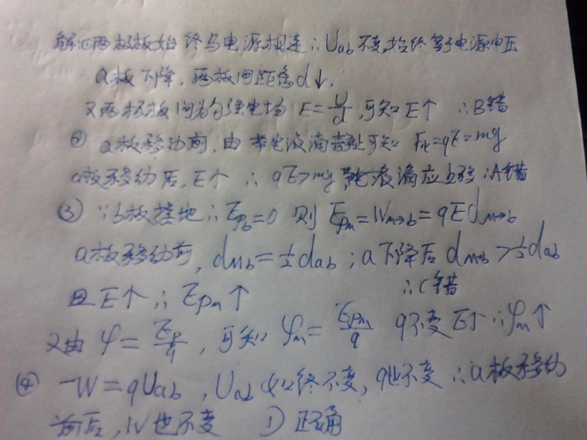 蓝波特码有钱看，诚信待人牛狗命打一精准生肖，详细解答、深度解答解释落实